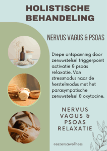 Kom tot diepe ontspanning met Nervus vagus & Psoas relaxatie nervus vagus, psoas, nervus vagus behandeling, nervus vagus ontspanning, nervus vagus psoas relaxatie, parasympatische zenuwstelsel, nervus vagus massage, psoas massage,holistische massage, massageregister, belangenvereniging, massage, massage belangenvereniging, lidmaatschap, massagetherapie, bms-register, massages, massagetherapie, energetische massage, holistisch massagetherapeut, erkend therapeut, professioneel massagetherapeut
